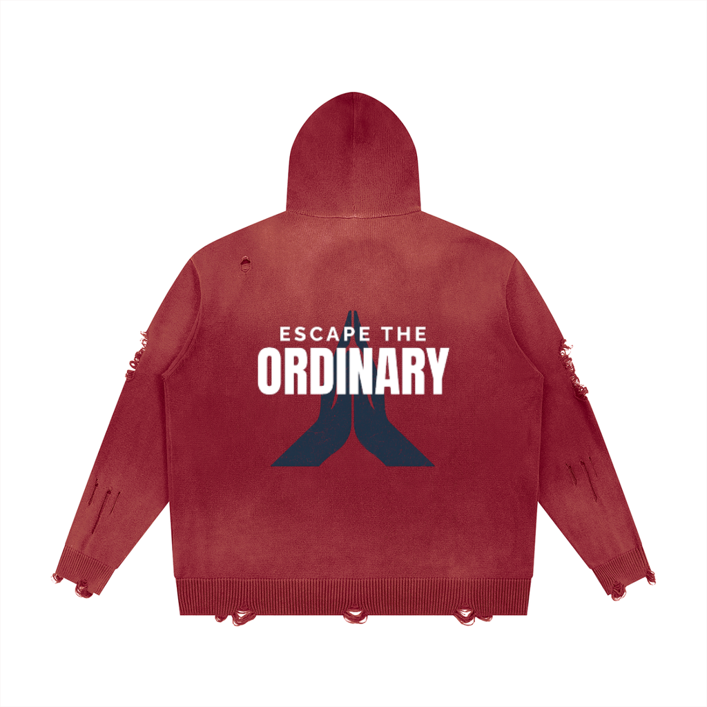 Distressed Skate Zip Hoodie